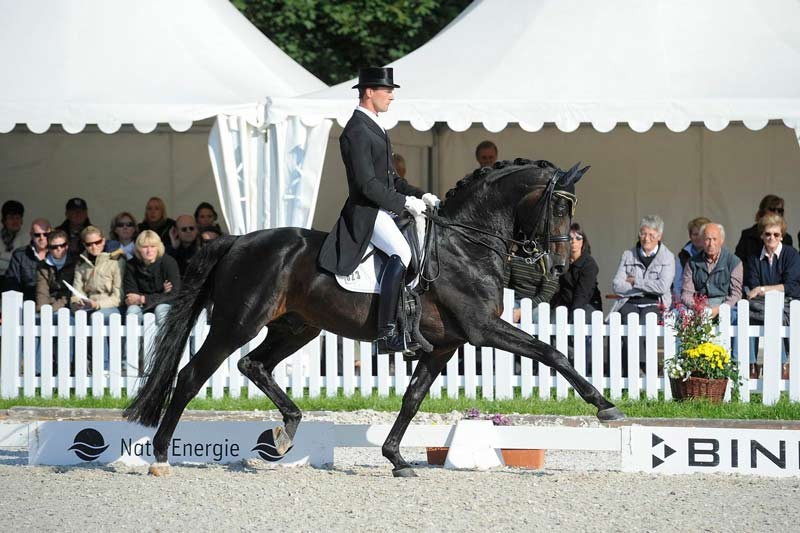 Dressage